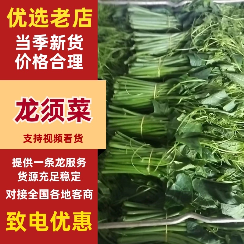 龙须菜大量上市，口感丰富，产地直发，品质有保障，量大从优