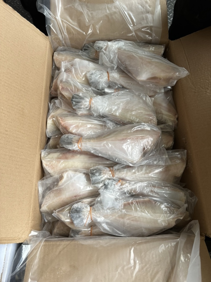 三去马面鱼