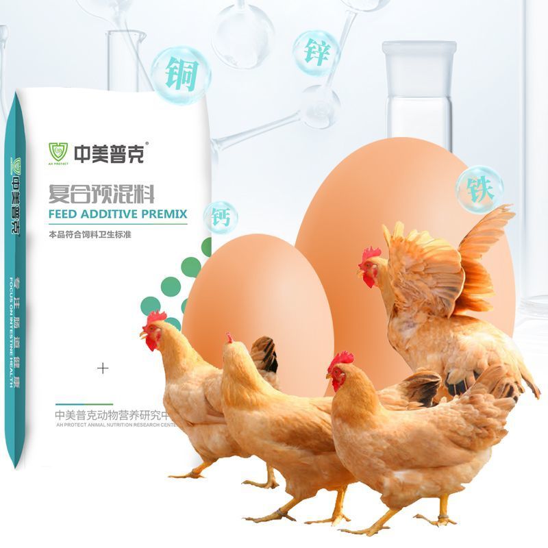 5%蛋鸡专用预混料育成期产蛋期后备蛋鸡混合料产蛋料母鸡下