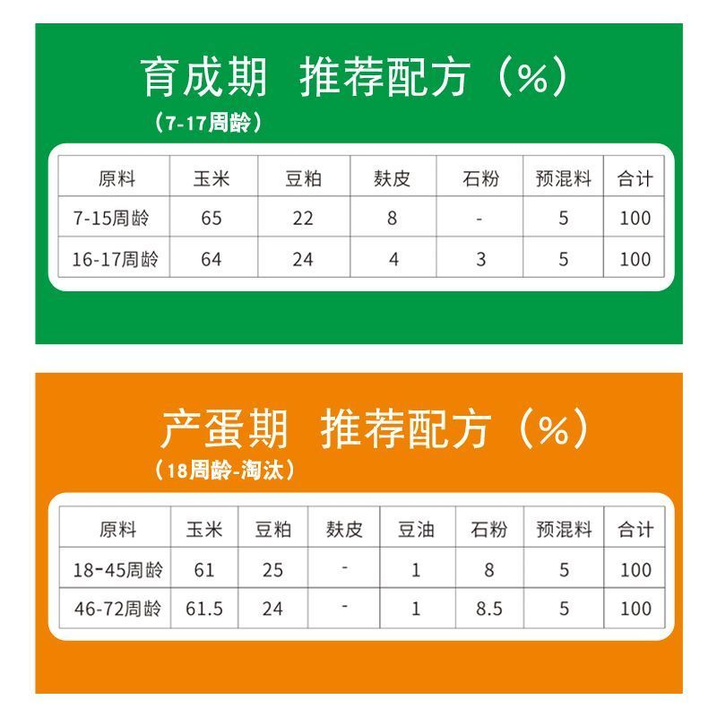 5%蛋鸡专用预混料育成期产蛋期后备蛋鸡混合料产蛋料母鸡下