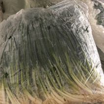精品小葱