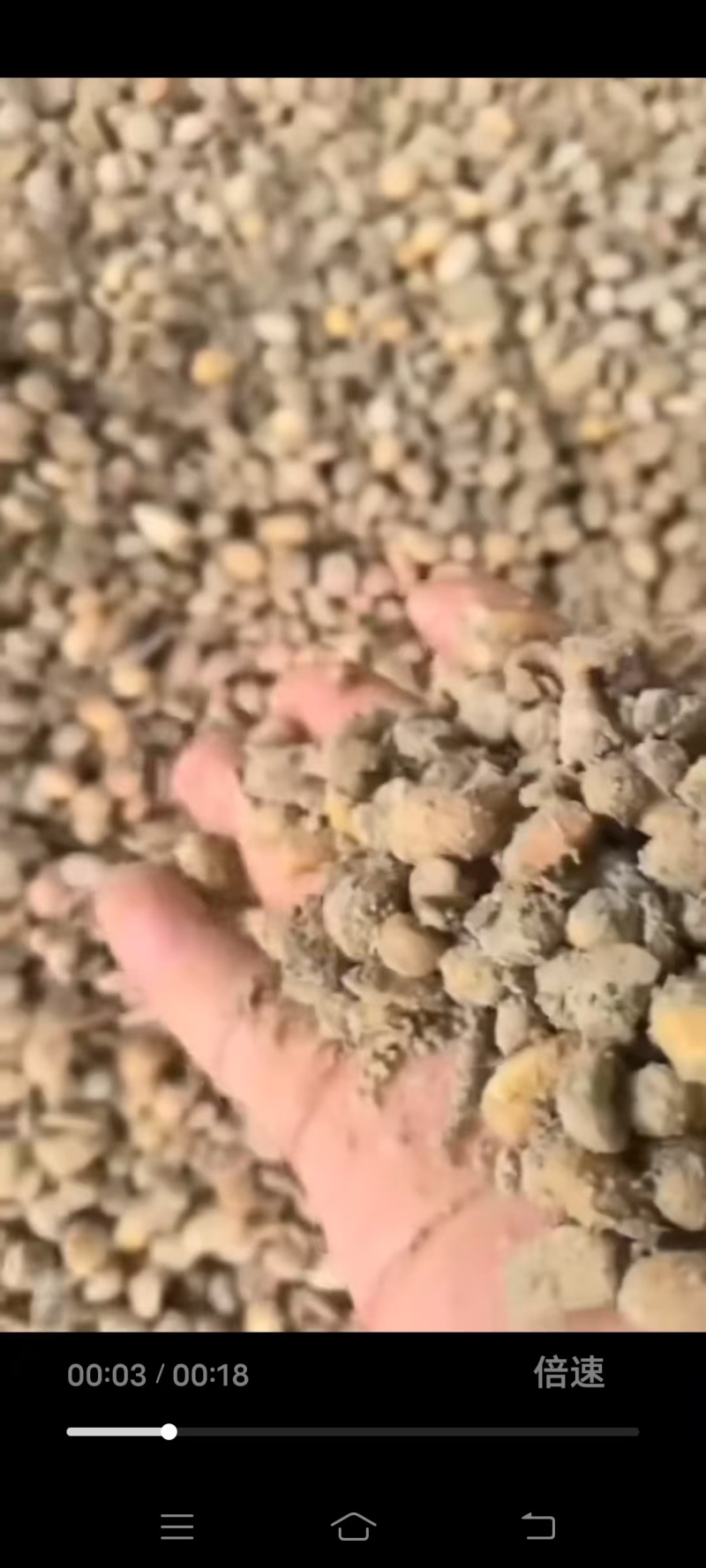 益生菌发酵大豆有效活菌数≥5亿/克
