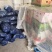 精品水果黄瓜