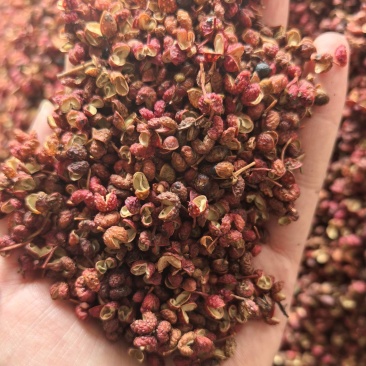 花椒梅花椒大红袍品质保证价格实惠