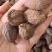 草果云南草果统货干货品质保证价格实惠