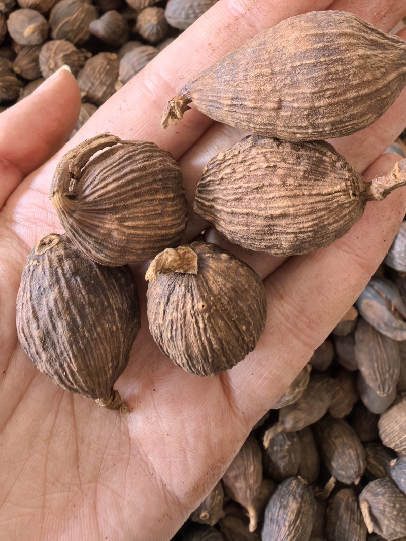 草果云南草果统货干货品质保证价格实惠