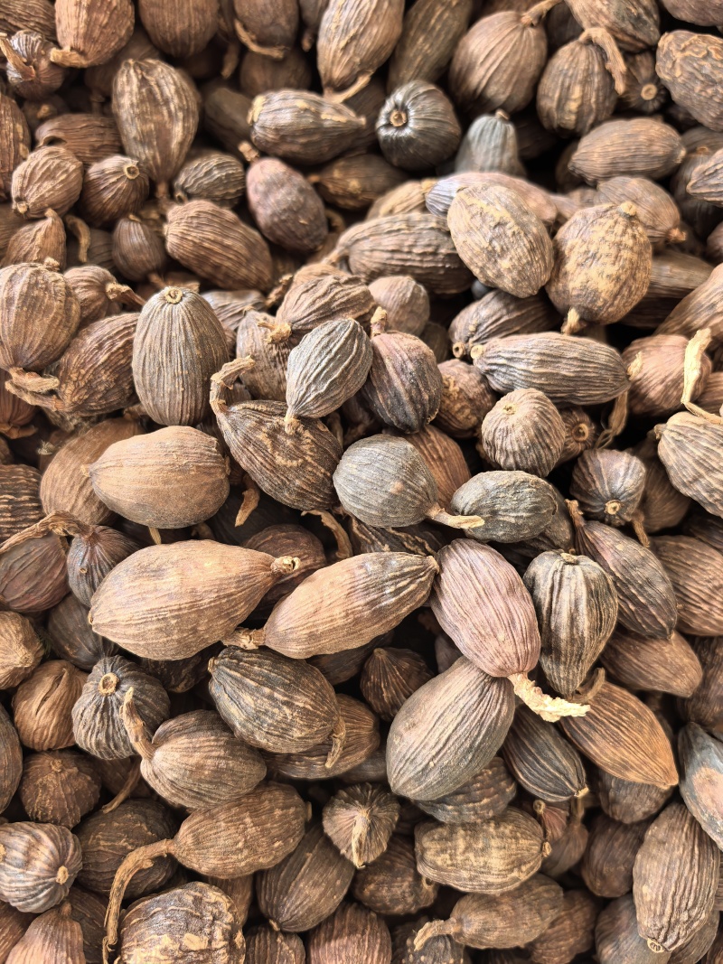 草果云南草果统货干货品质保证价格实惠