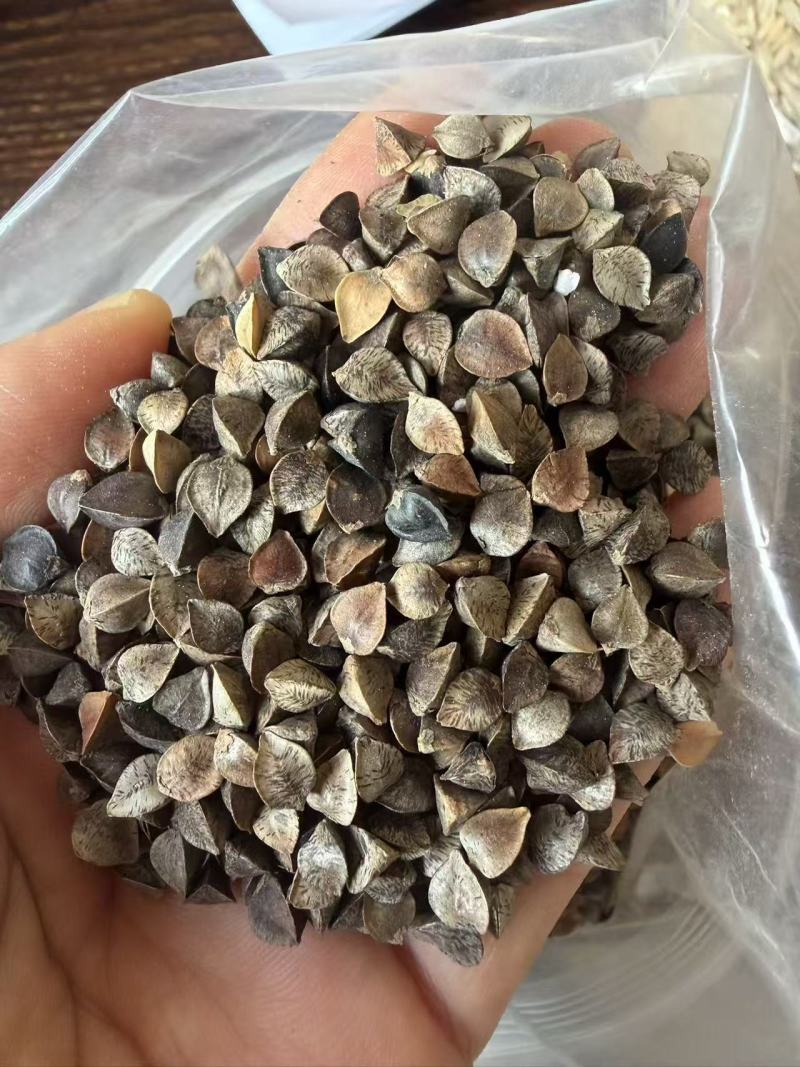 荞麦，荞麦，50斤装净粮，质量好滴很，价格低低的，厂家直