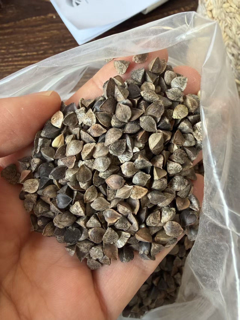 荞麦，荞麦，50斤装净粮，质量好滴很，价格低低的，厂家直