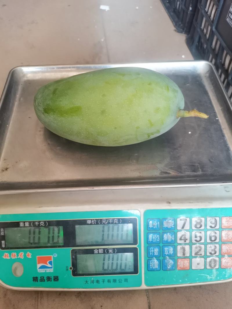 越南大青芒一级二级三级整件大果单果1-2斤