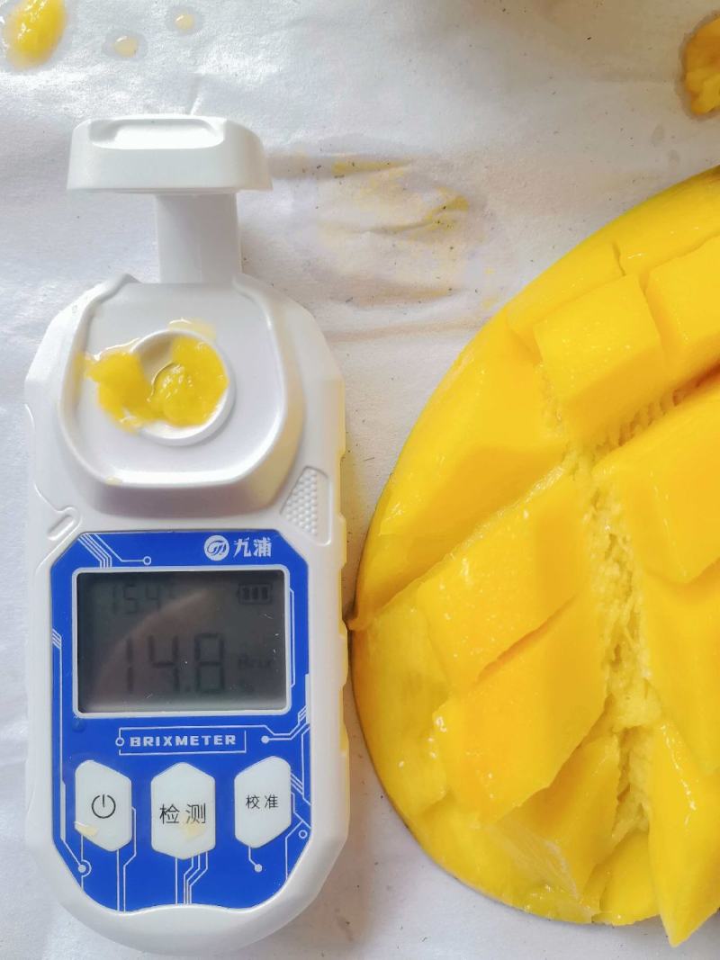 越南大青芒一级二级三级整件大果单果1-2斤