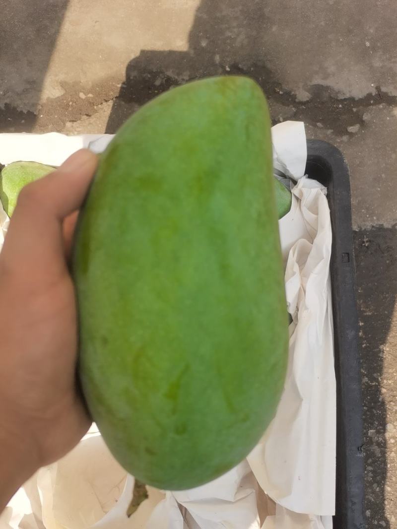 越南大青芒一级二级三级整件大果单果1-2斤