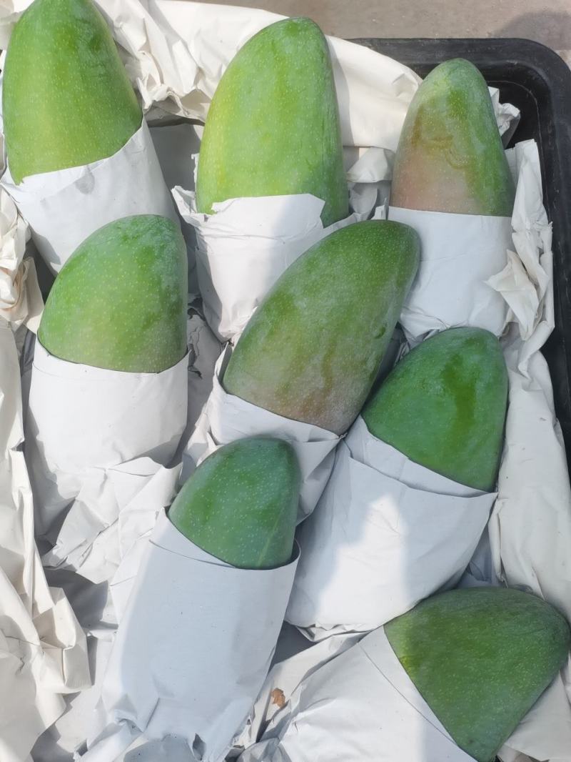 越南大青芒一级二级三级整件大果单果1-2斤