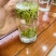 雀舌茶四川雀舌茶2026年雀舌茶包邮