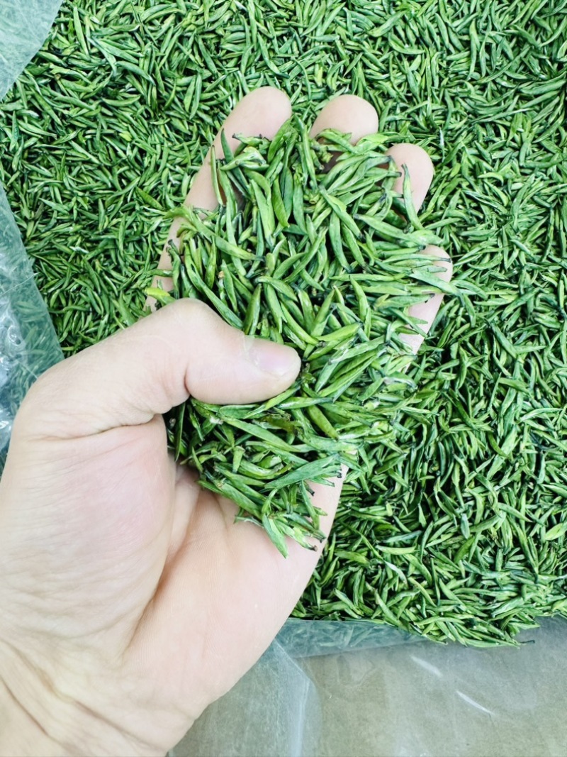 雀舌茶四川雀舌茶2026年雀舌茶包邮
