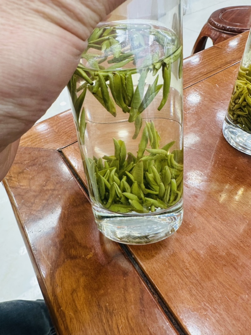 雀舌茶四川雀舌茶2026年雀舌茶包邮