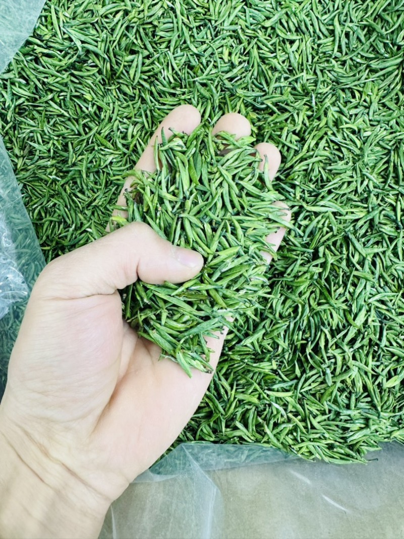 雀舌茶四川雀舌茶2026年雀舌茶包邮