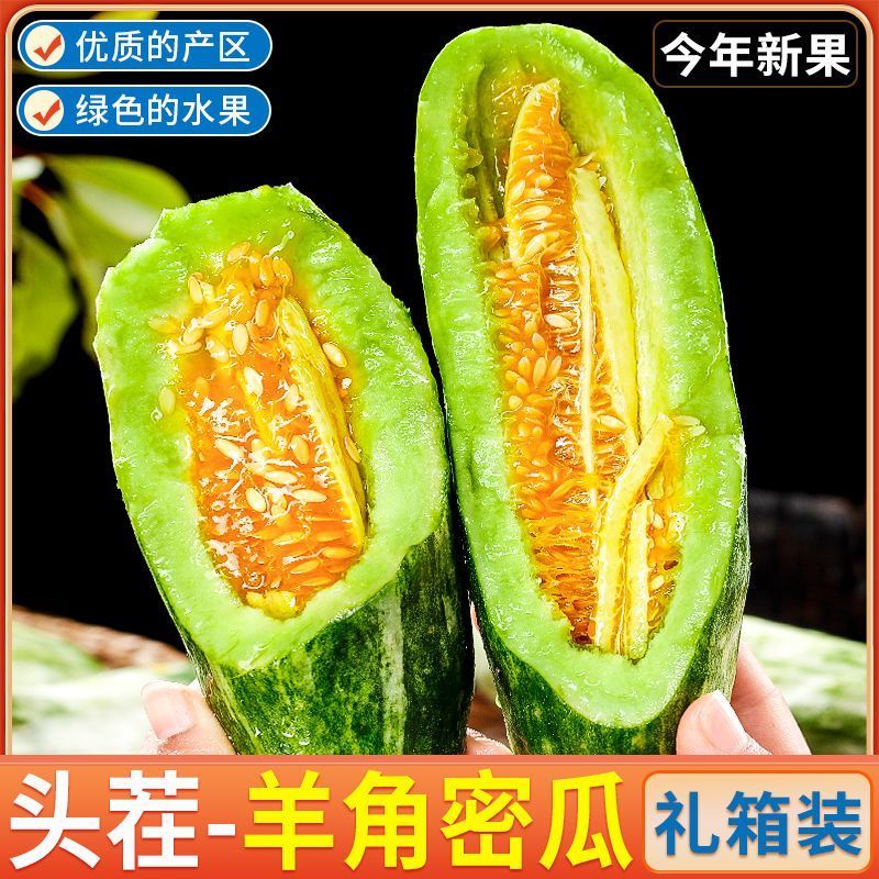 《实力》正宗头茬羊角蜜甜瓜基地直发对接商超团购电商一条龙