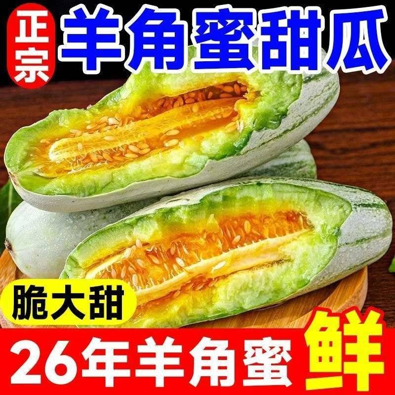 《热卖》山东羊角蜜甜瓜量大从优一条龙服务价格美丽欢迎来电