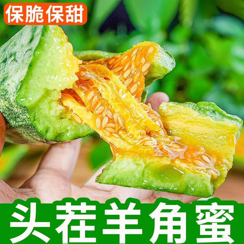 《热卖》山东羊角蜜甜瓜量大从优一条龙服务价格美丽欢迎来电