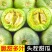 《实力》新鲜绿宝石甜瓜山东基地直发对接商超团购电商一条龙