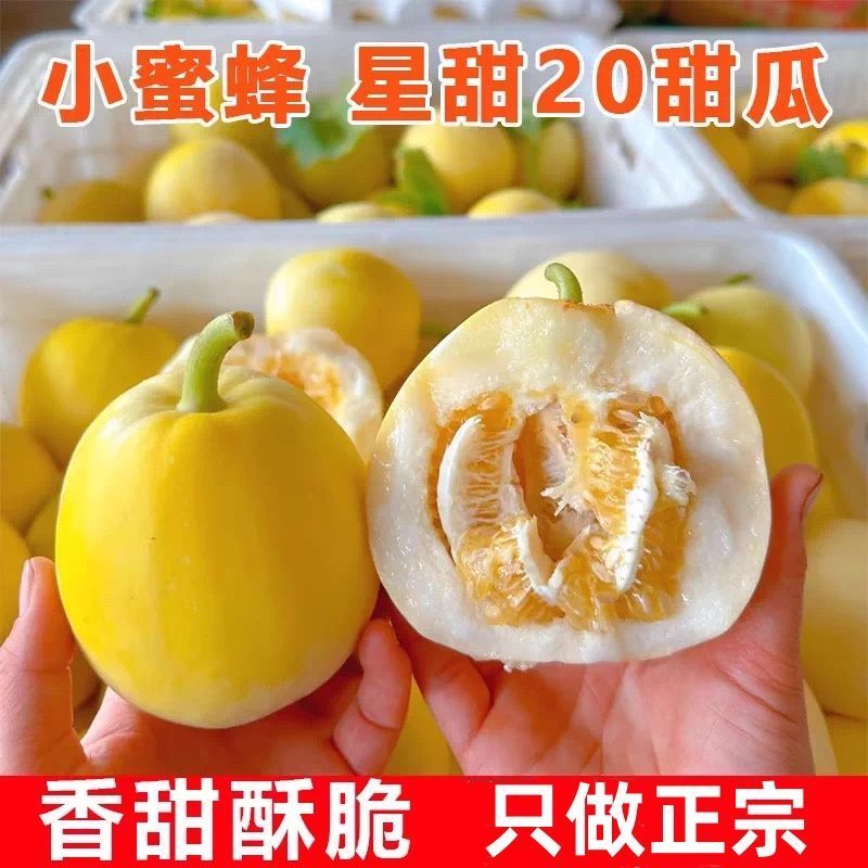 《热卖》山东正宗星甜二十甜瓜基地直发对接商超团购电商
