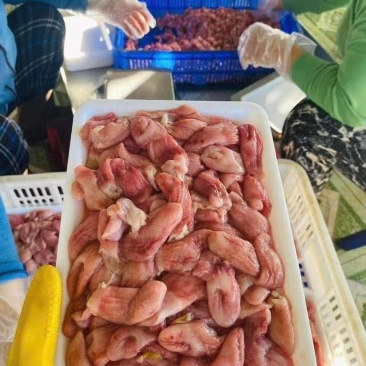 巴沙鱼鱼肚