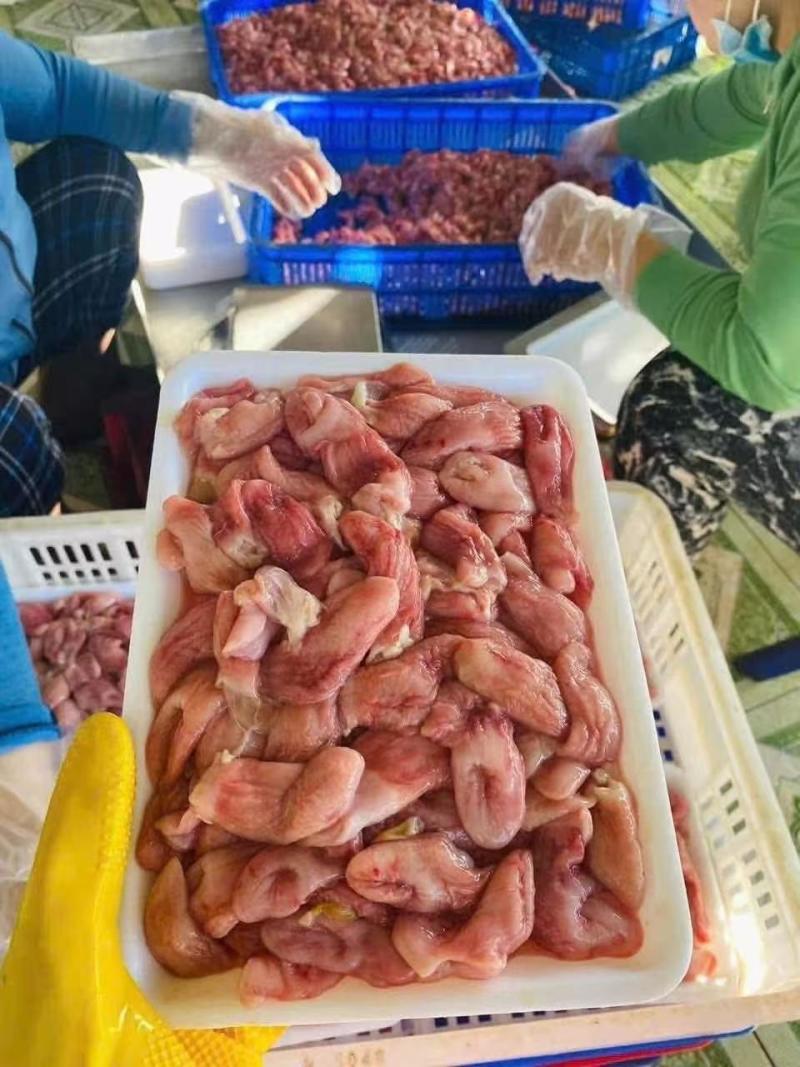 巴沙鱼鱼肚