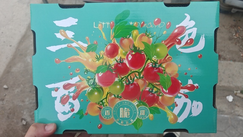 三色番茄礼盒装大量现货供应，产地直供一手货源，