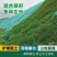 矮生草坪种子耐寒耐旱四季青草籽免修剪护坡固土庭院别墅小区