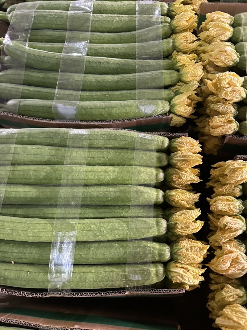 江苏丝瓜，产地直发，量大优惠，可视频看货，对接全国市场