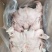 【熟羊杂】熟白羊脸肉