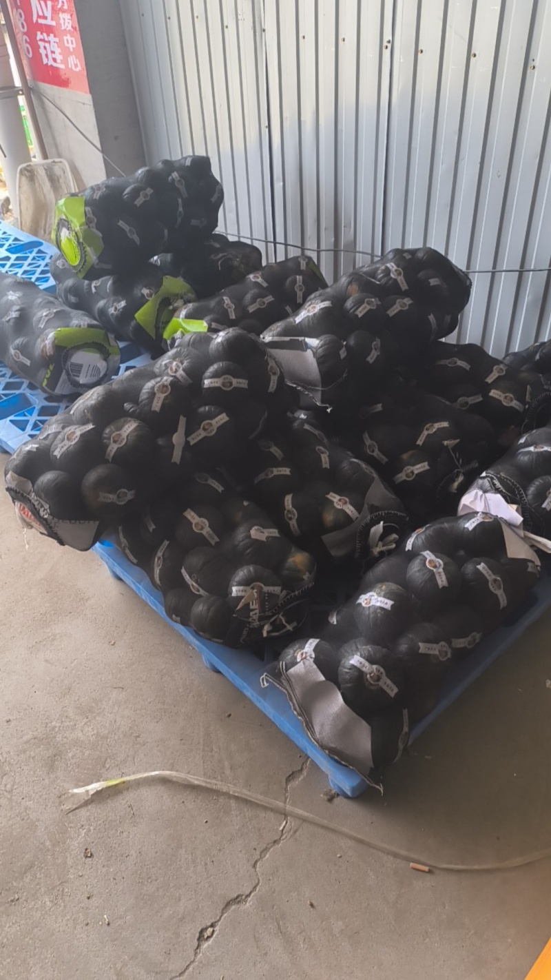 广东老贝贝南瓜粉面香甜产地直发品质保证，临沂分销