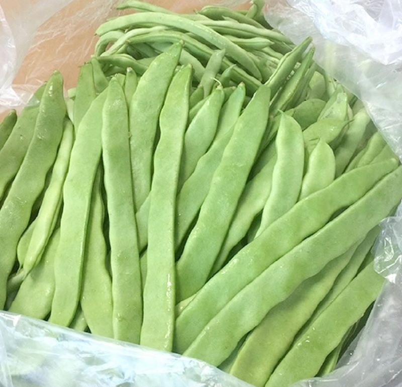 精品云豆产地直发全国直发，大量有货，量大从优
