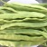 精品云豆产地直发全国直发，大量有货，量大从优