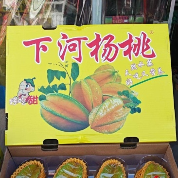 红龙杨桃礼盒装