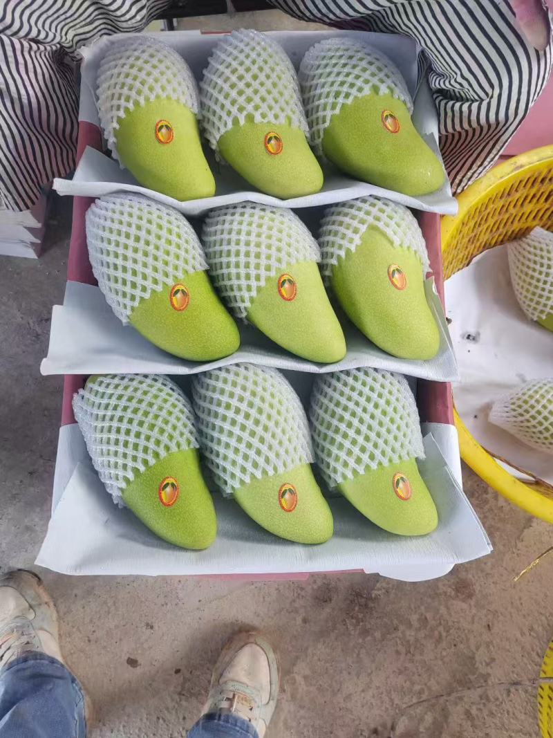 【热卖】海南正宗金煌芒产地直发货源充足全国代发可视频看货