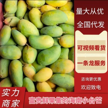 【畅销】海南小台芒产地直发货源充足价格优惠可视频看货