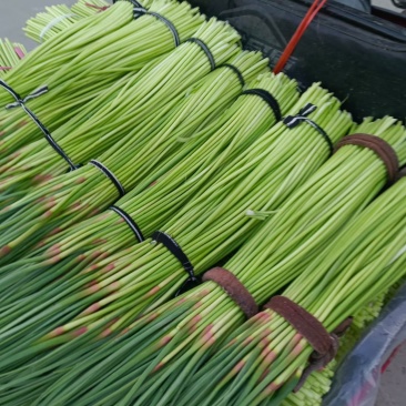 开封红帽蒜薹已经上市，需要的联系