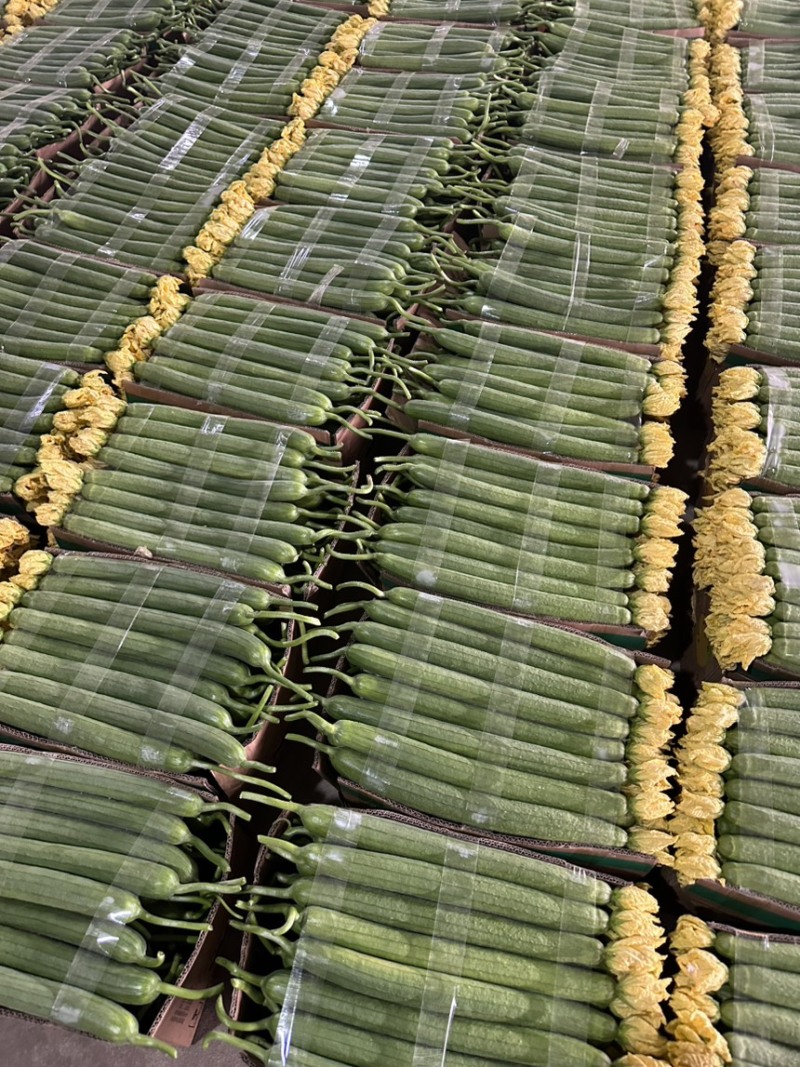 食堂商超批发零售等各渠道供应，大量现货
