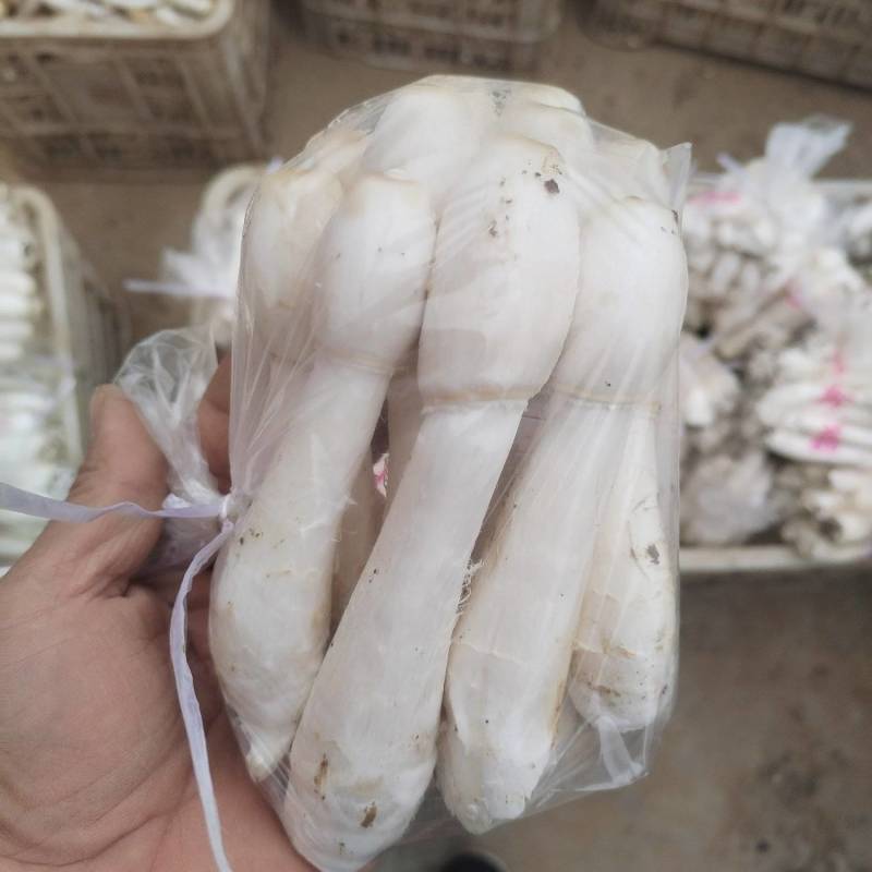 带泥鸡腿产地直发