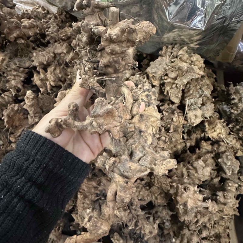 土茯苓（龙骨节）龙骨结，产地直发，欢迎老板视频看货