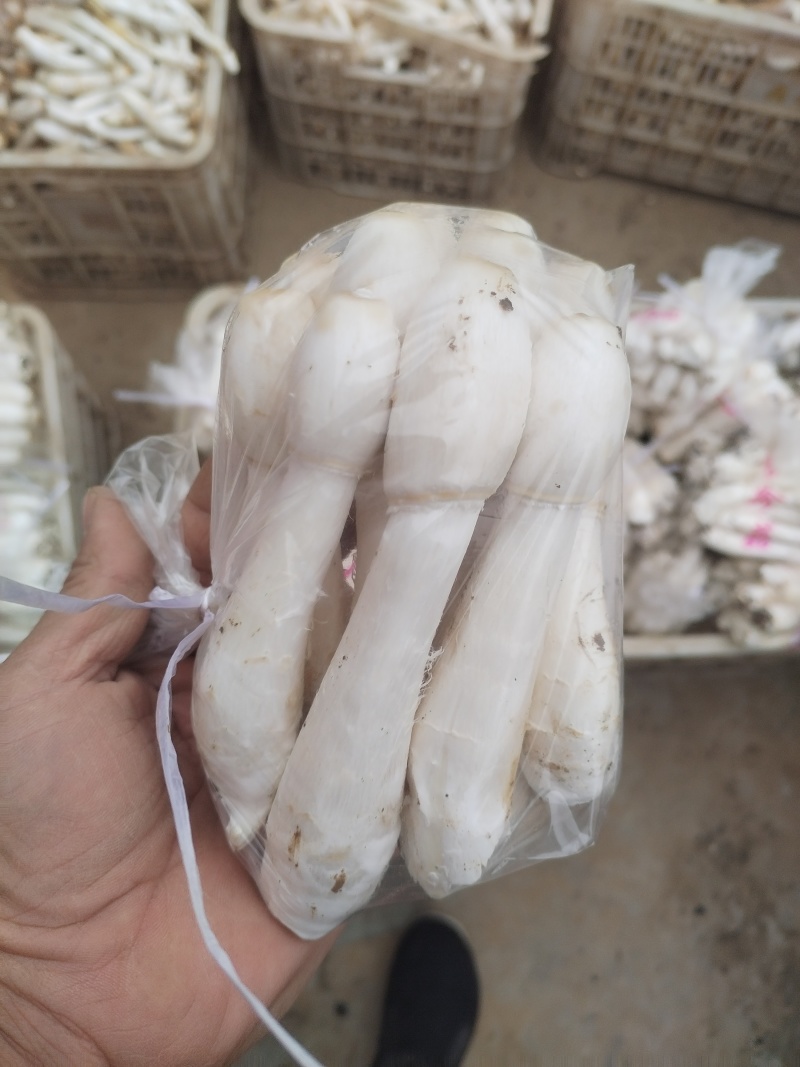 带泥鸡腿产地直发
