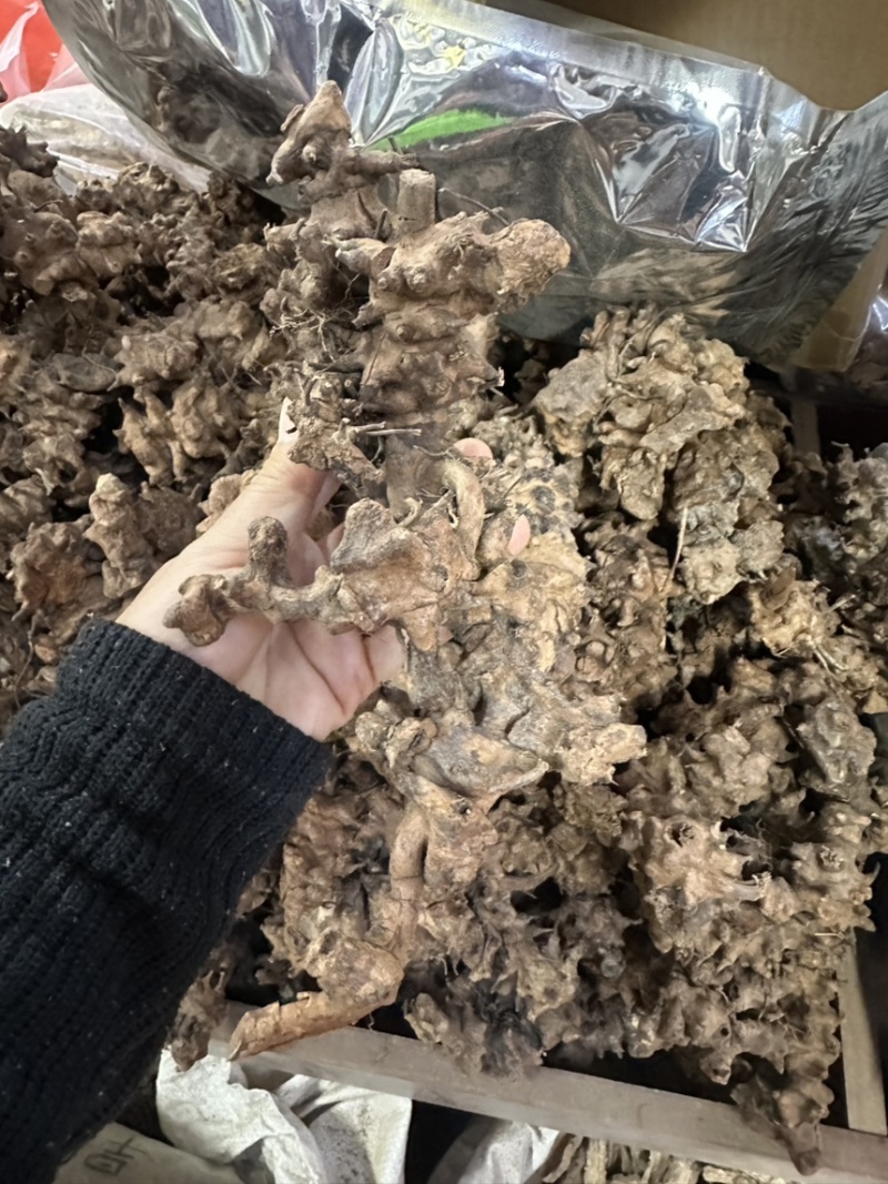 土茯苓（龙骨节）龙骨结，产地直发，欢迎老板视频看货