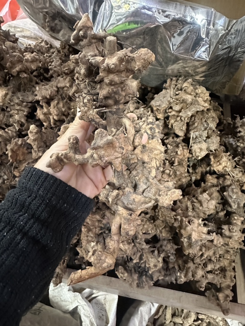 土茯苓（龙骨节）龙骨结，产地直发，欢迎老板视频看货