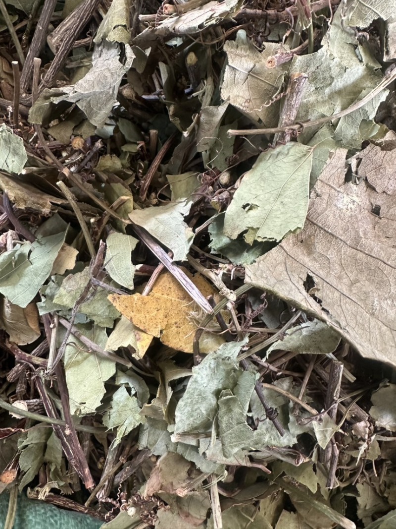 燕尾草一袋是一斤实物拍摄野生货需下单就可以