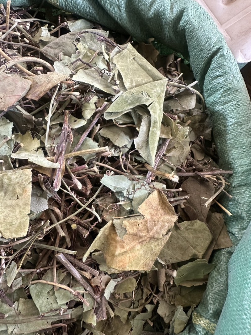 燕尾草一袋是一斤实物拍摄野生货需下单就可以