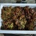 露天红油香椿芽上市中一手货源，现摘先发，支持快递
