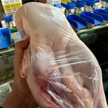 二级白条鸭1100-1300g现货100吨