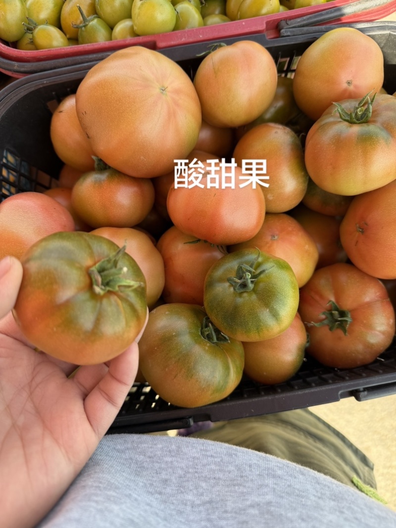 各种各样水果小番茄